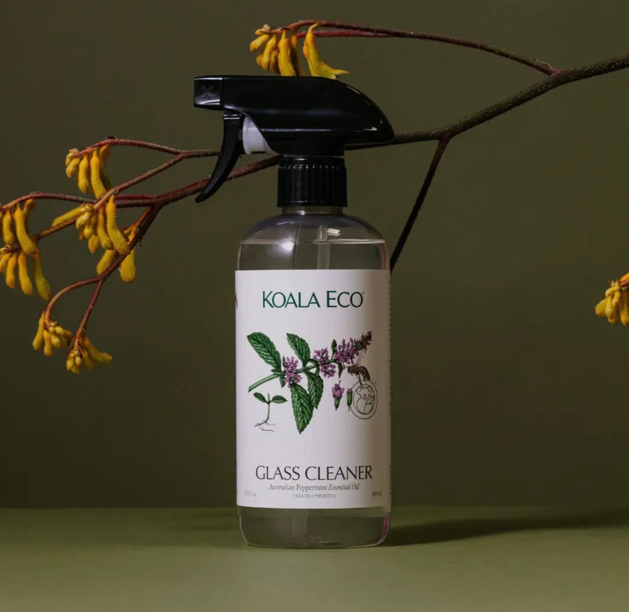 Peppermint Glass Cleaner
